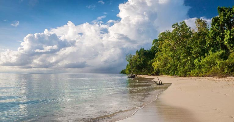 Andaman Packages